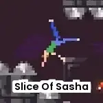 Slice Of Sasha